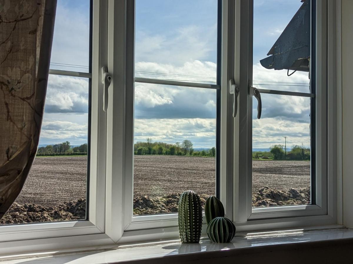 Cosy Family Cottage South Somerset Long Sutton  エクステリア 写真
